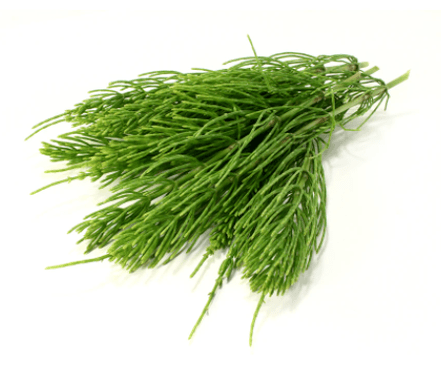 extrakt z prasličky v NEOfloraxe