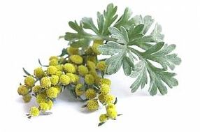 výťažok z paliny v NEOfloraxe